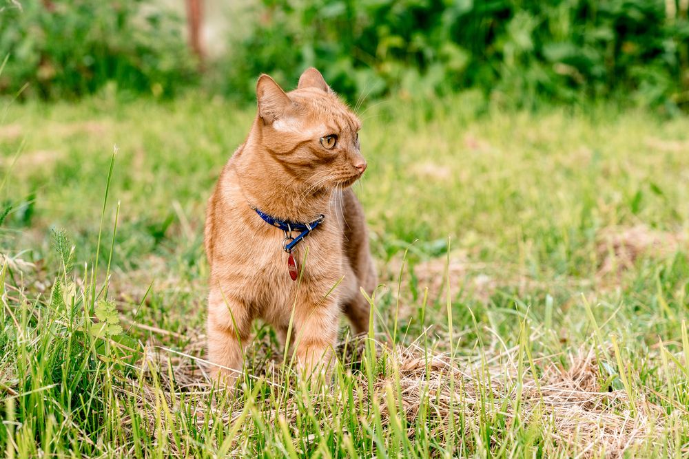 Photograph by Александр Акатьев