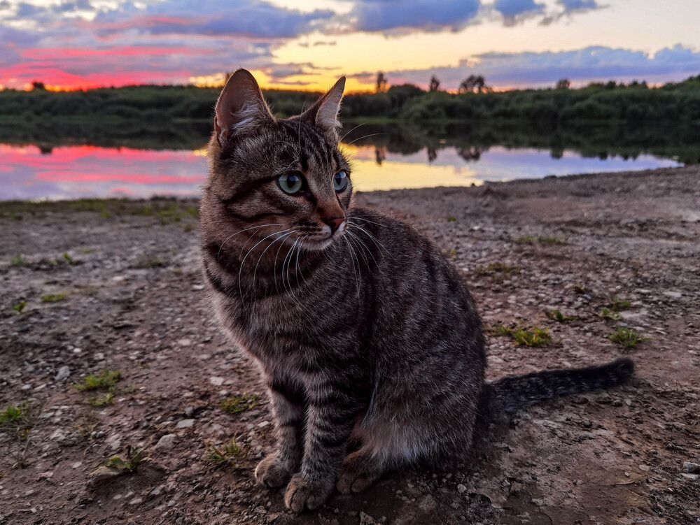 Photograph by Юлия