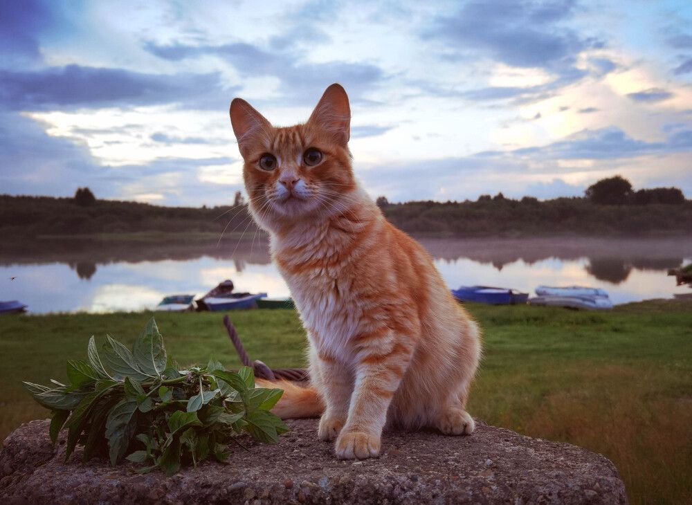 Photograph by Юлия
