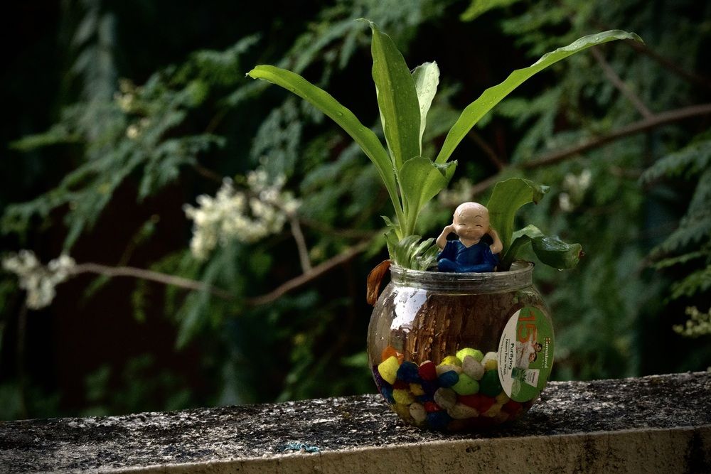 Photograph by Manish Rao