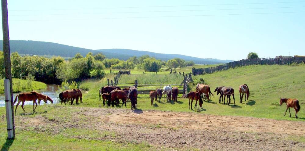 Photograph by Мигун Александра