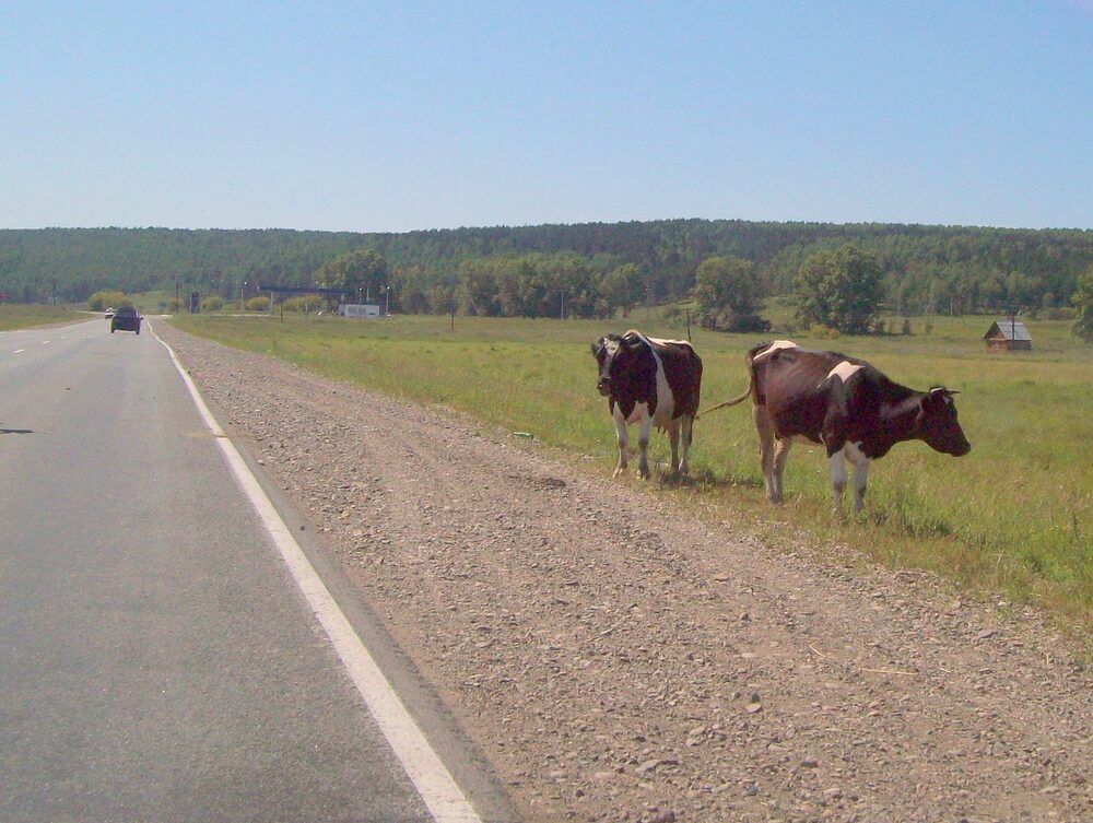 Photograph by Мигун Александра