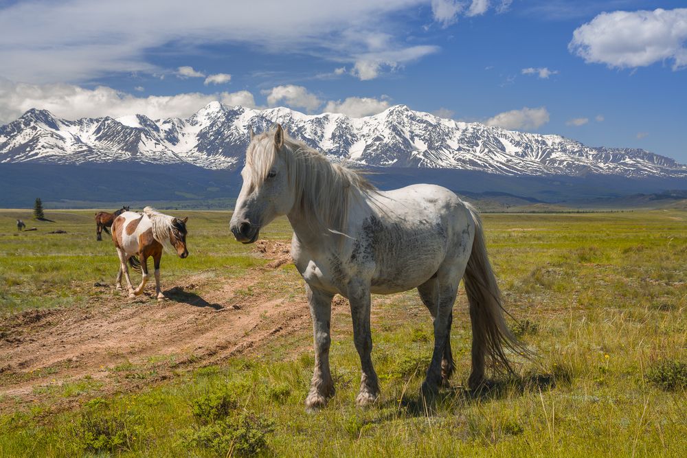 Познакомимся!