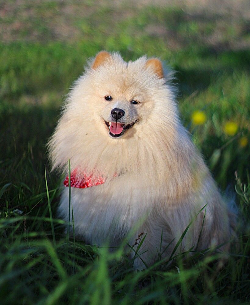 Photograph by Оксана Шарагина