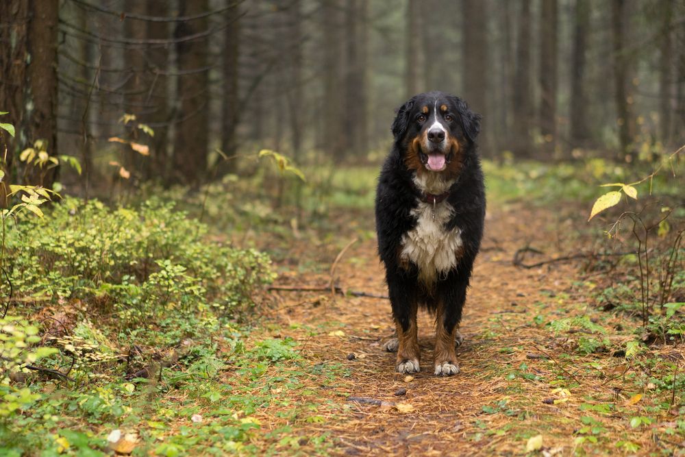 Photograph by Антон Огородов