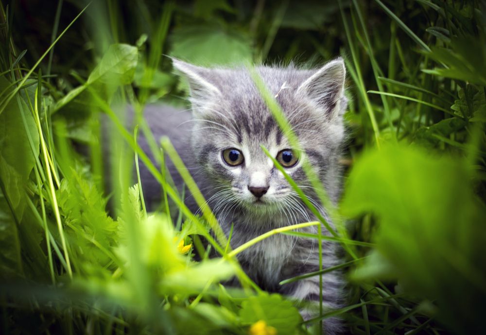 Photograph by Евгений Балакин