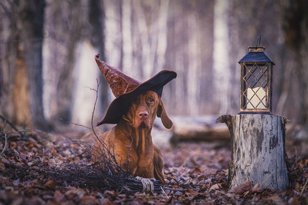 Photograph by Эльнара Исаева