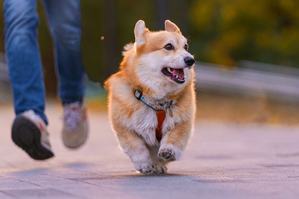 Photograph by Анна Полушина