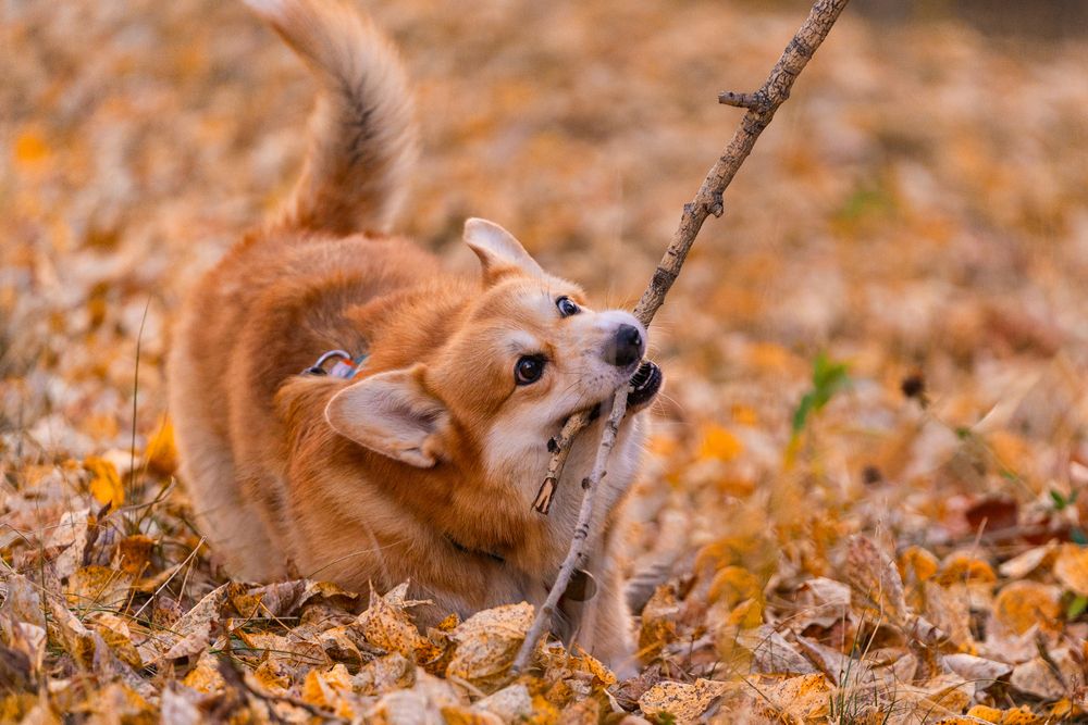 Photograph by Анна Полушина