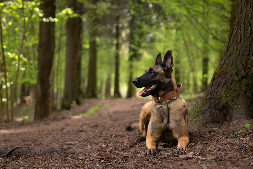 Photograph by Антон Огородов