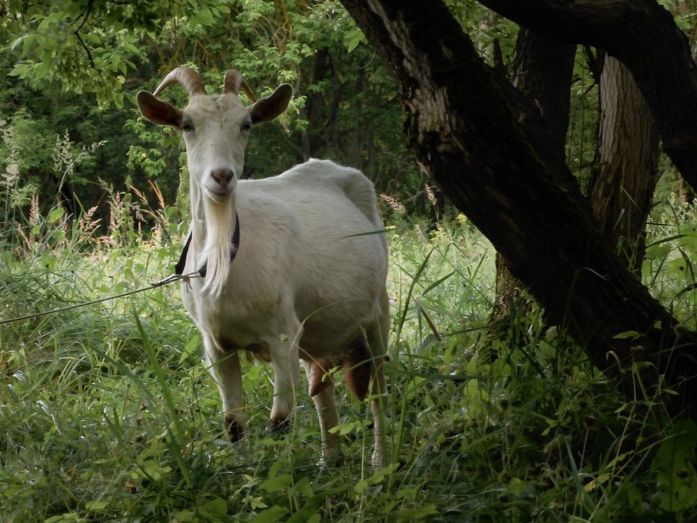 Photograph by Игорь Смирнов