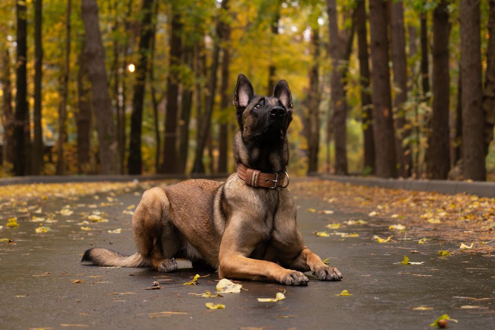 Photograph by Антон Огородов