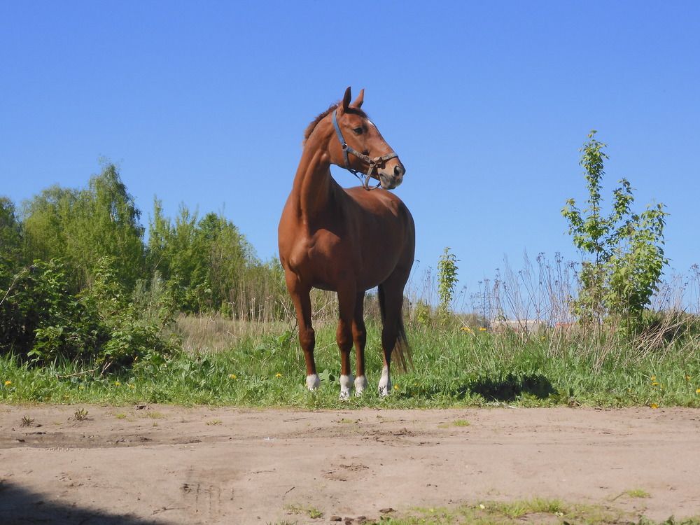 Photograph by Игорь Смирнов