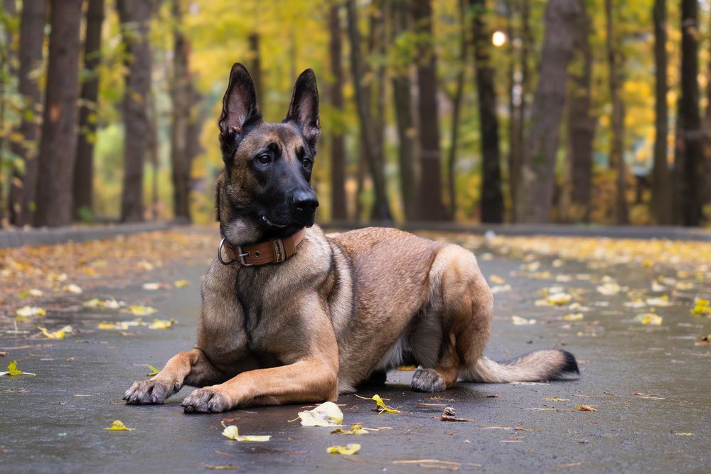 Photograph by Антон Огородов