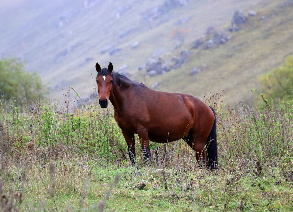 Photograph by Татьяна Орлова