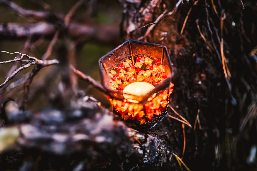 Photograph by Евгений Николаенков