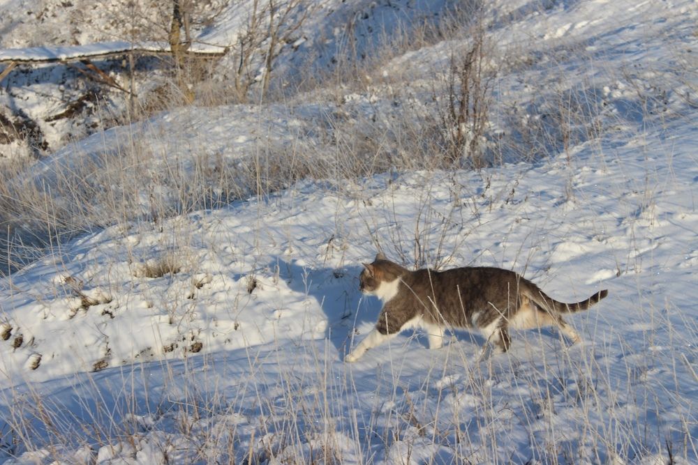 Photograph by Светлана Шубина