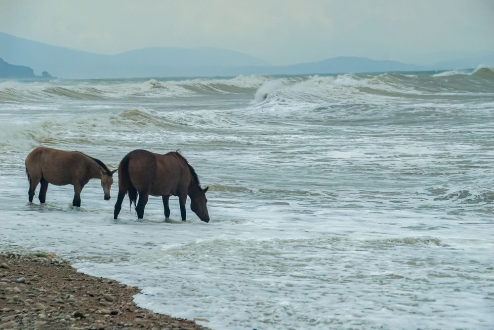 Photograph by Римма Волченко