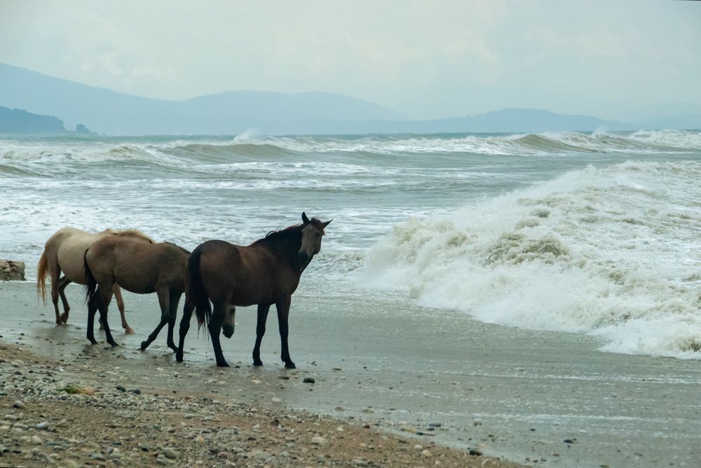 Photograph by Римма Волченко