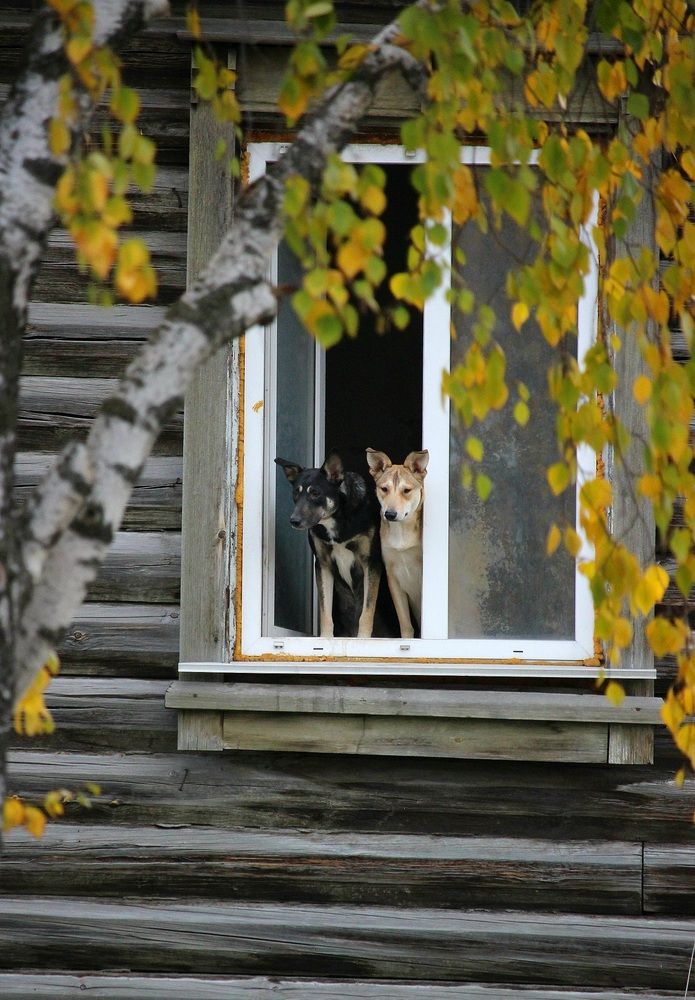 Photograph by Ирина Саттарова