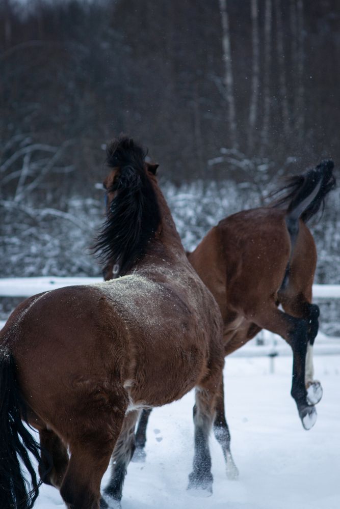 Photograph by Света Трифоненкова