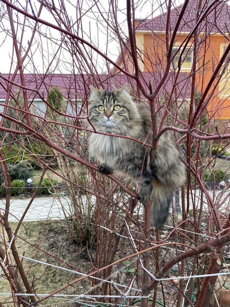 Photograph by Елена Рябова