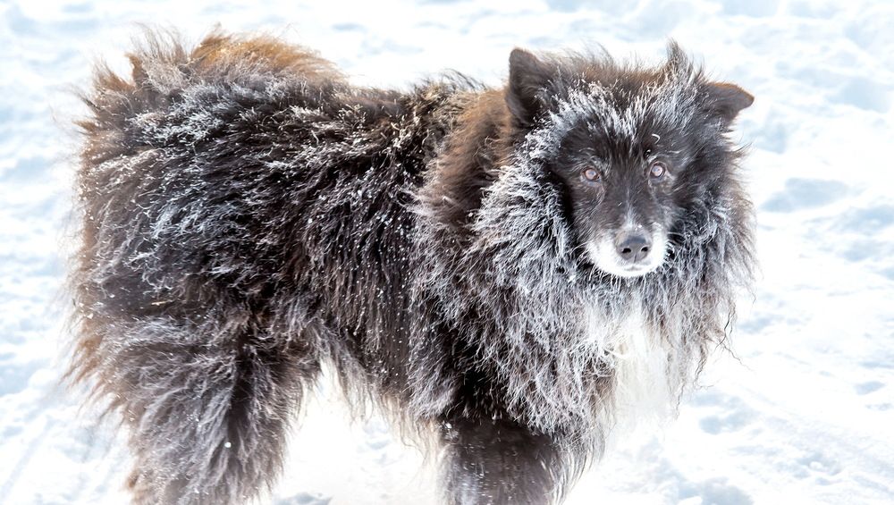 Photograph by Валерий Смирнов