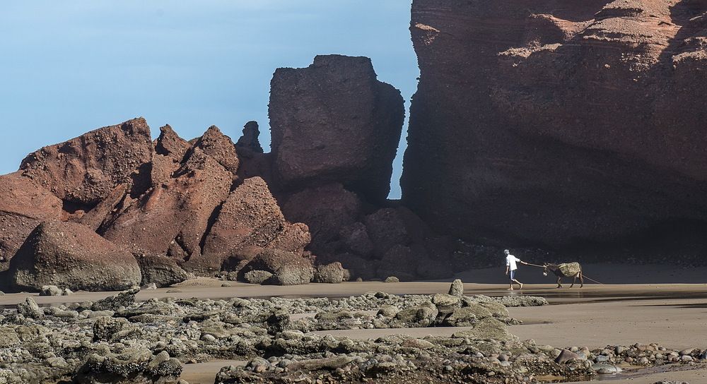 Photograph by Валерий Смирнов