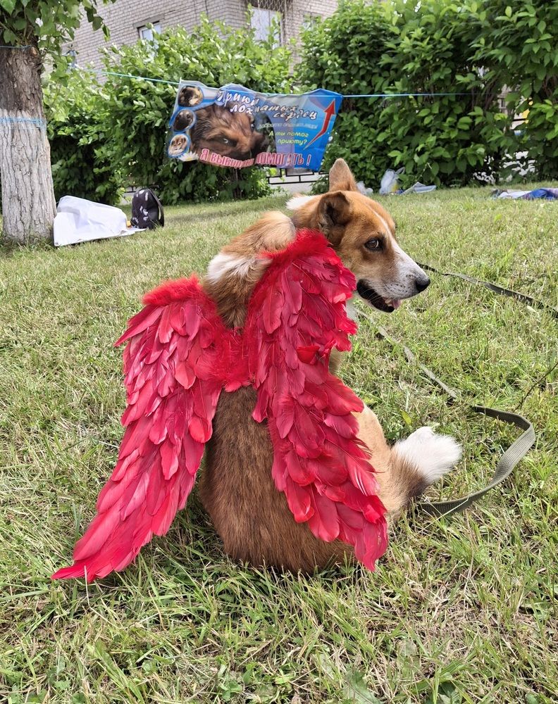 Photograph by Ирина Саттарова