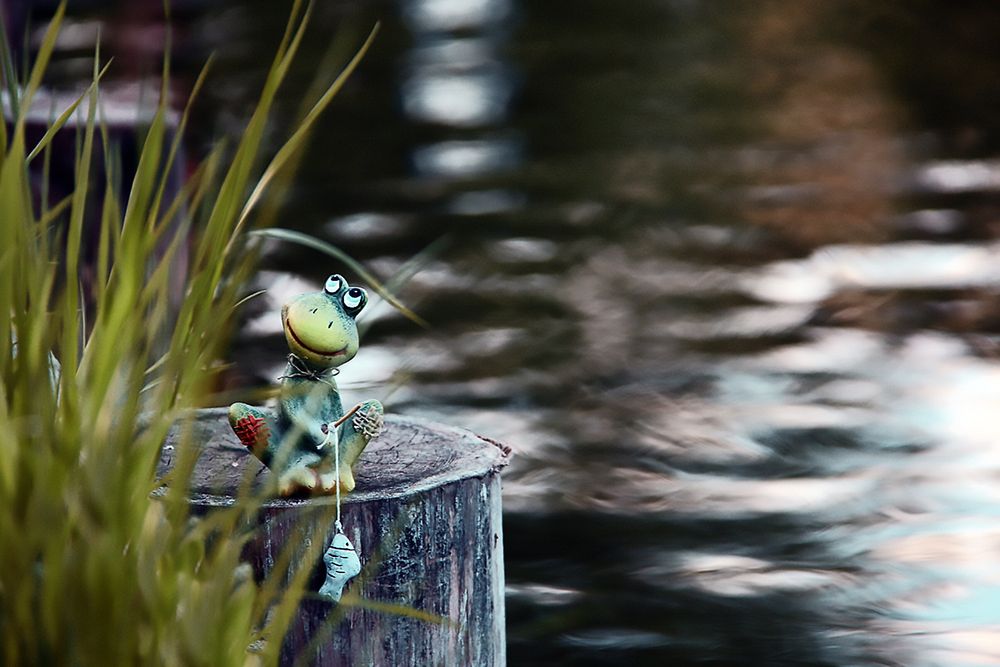 Фотография автора Елена Лаврова
