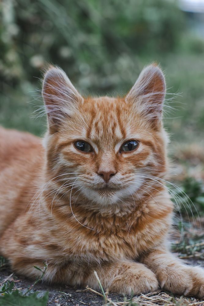 Photograph by Виктория