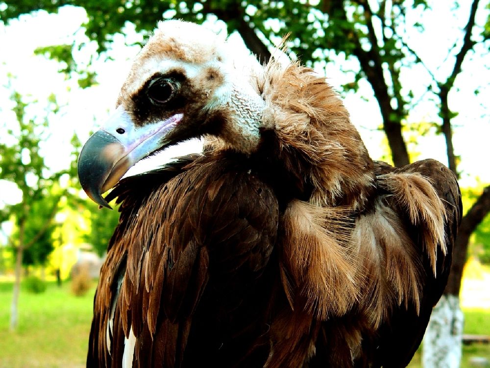 Photograph by Владимир Ким