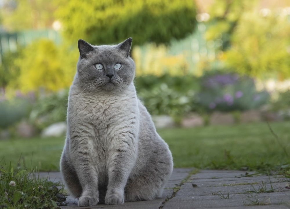 Photograph by Валентина Куренкова