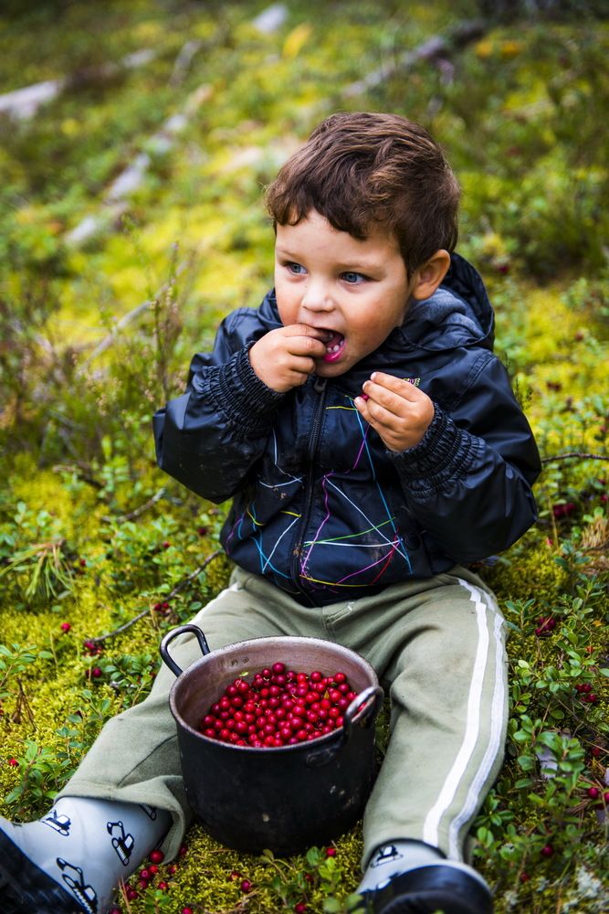Photograph by Валерий Смирнов