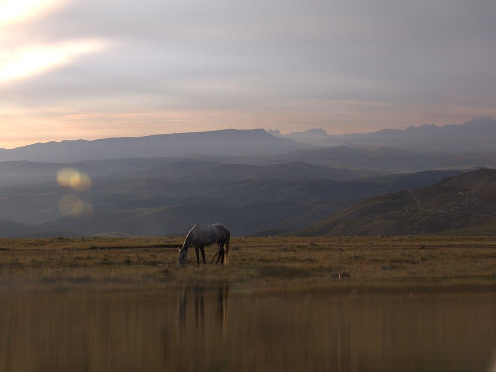 Photograph by Дашима