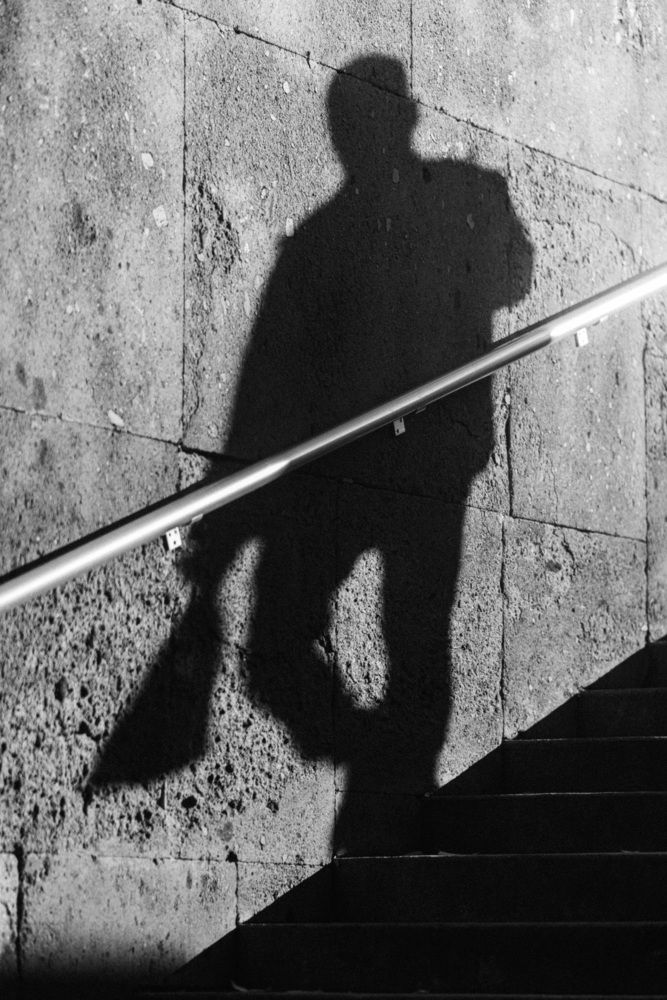 Photograph by Mostafa Moradi