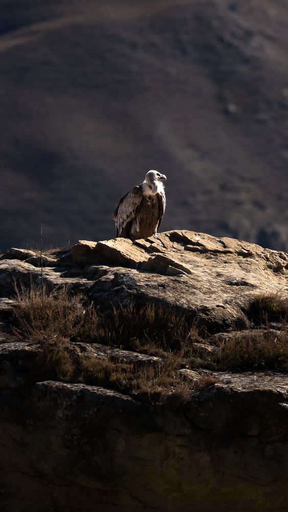 Photograph by Марлен Маан