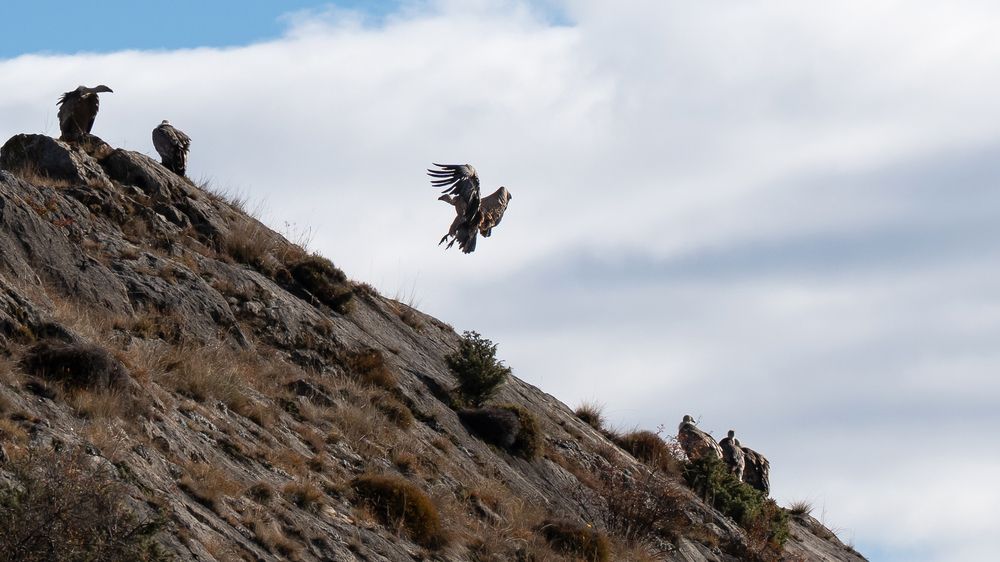 Photograph by Марлен Маан