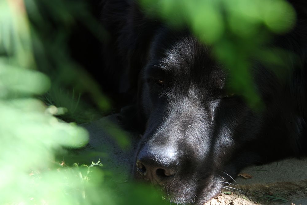 Photograph by Дашима