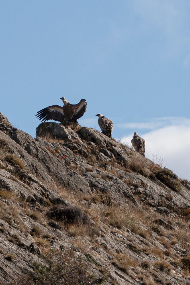 Photograph by Марлен Маан