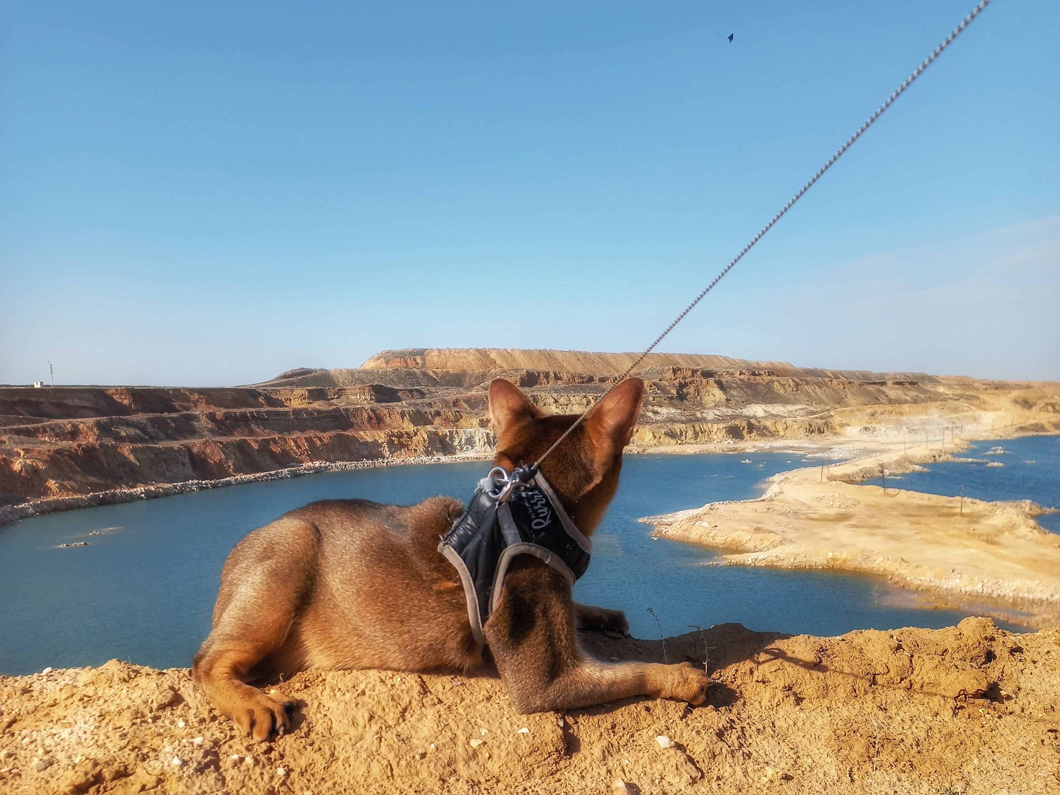 Photograph by OLGA MIKHNEVICH