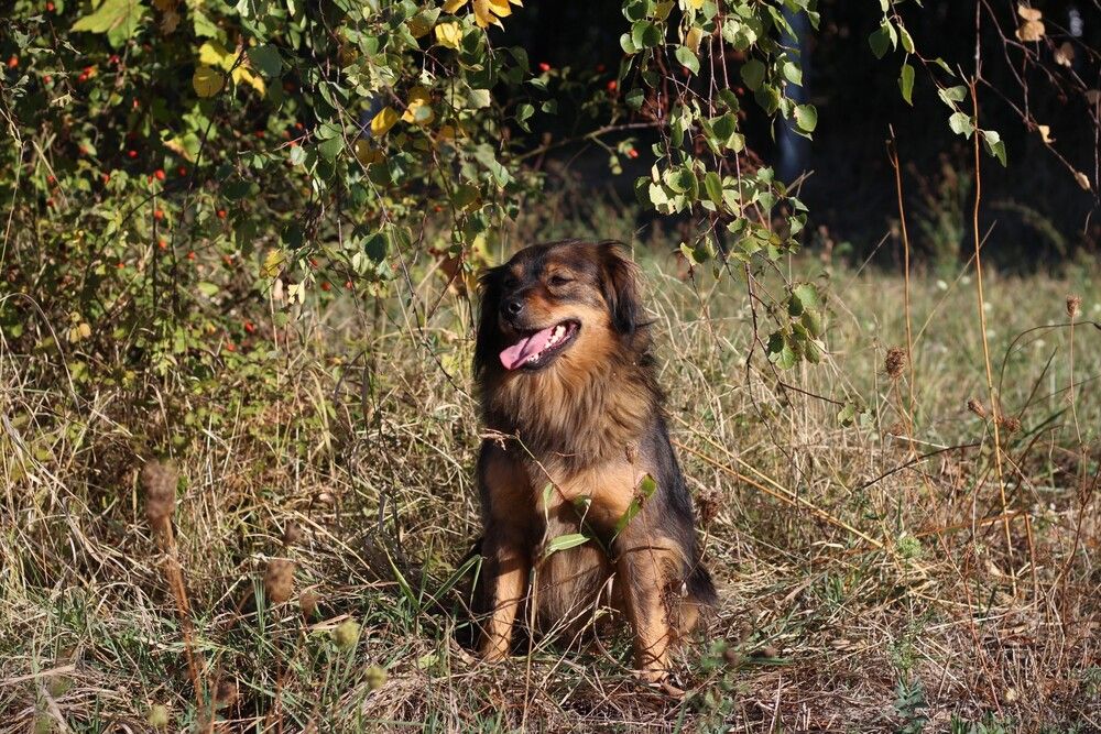 Photograph by Любовь Войводич