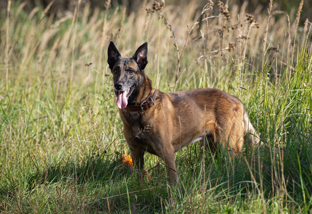 Фотография автора Сусанна Галоян