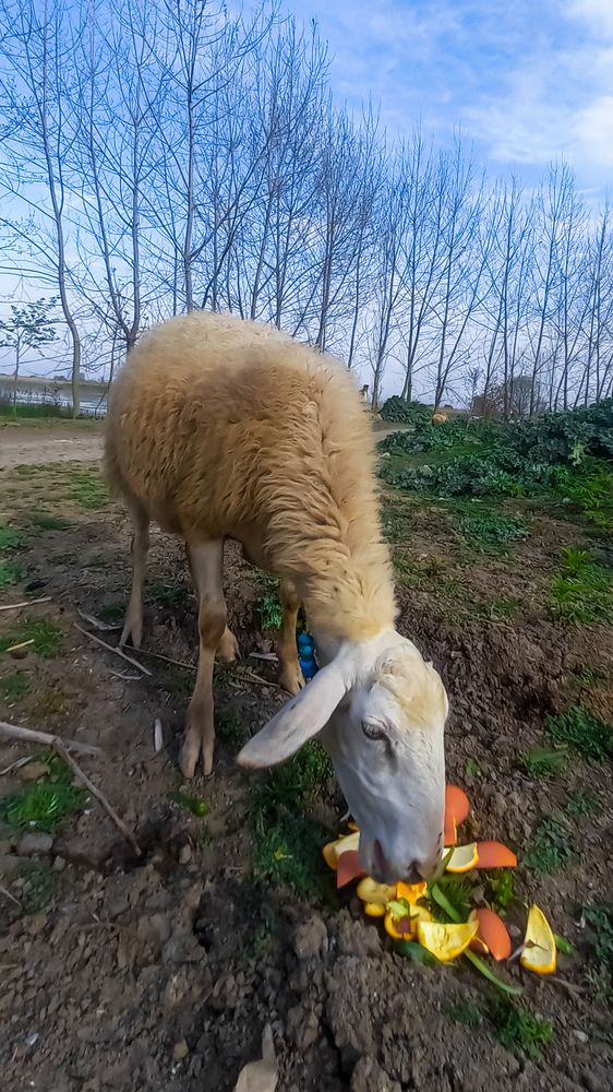 Photograph by mahdi ghanbari