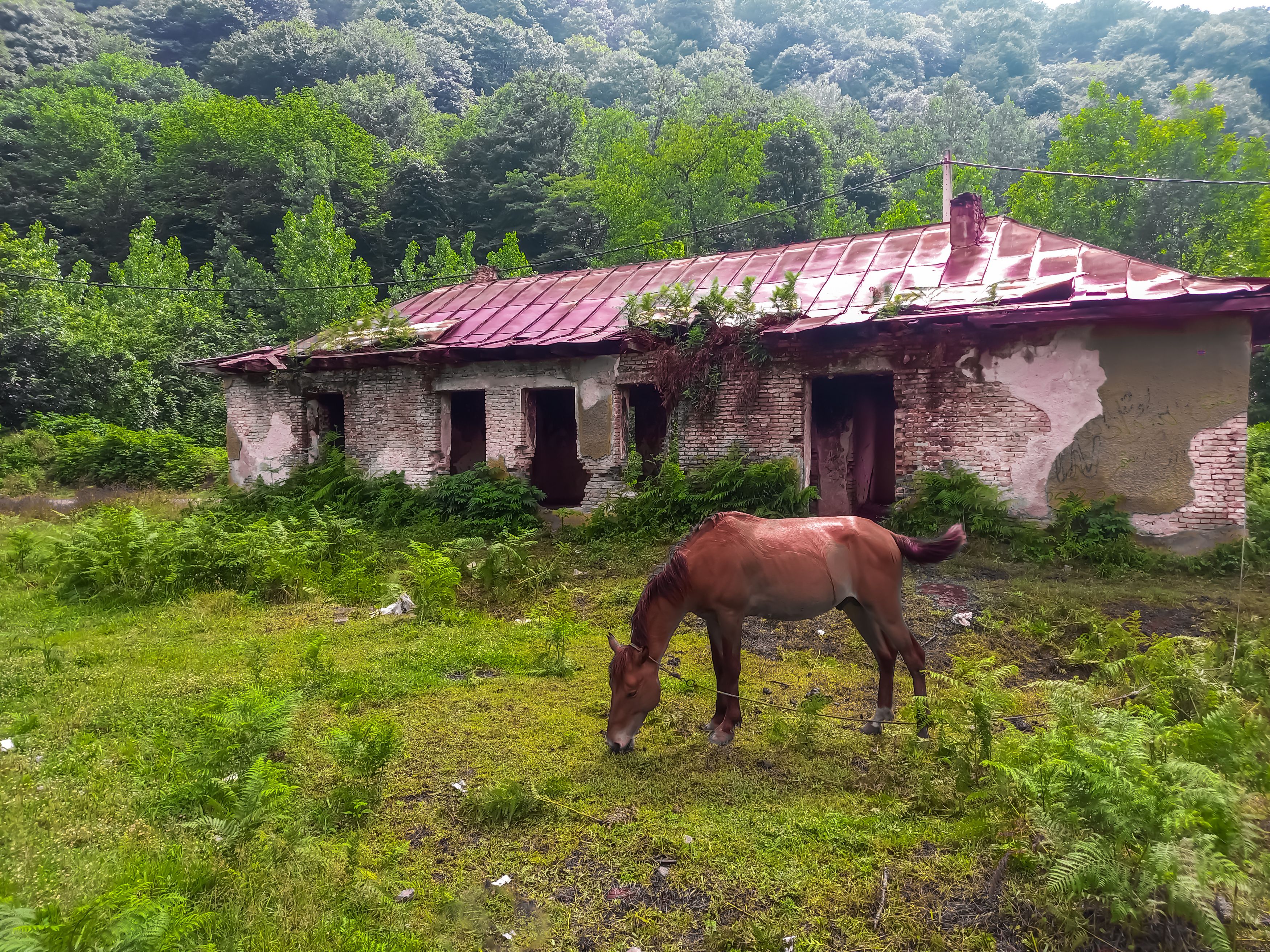 Photograph by mahdi ghanbari
