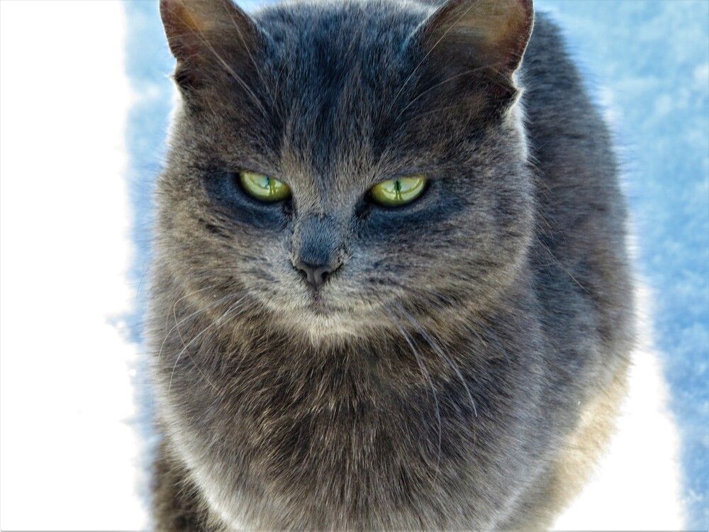 Photograph by Лариса Басова