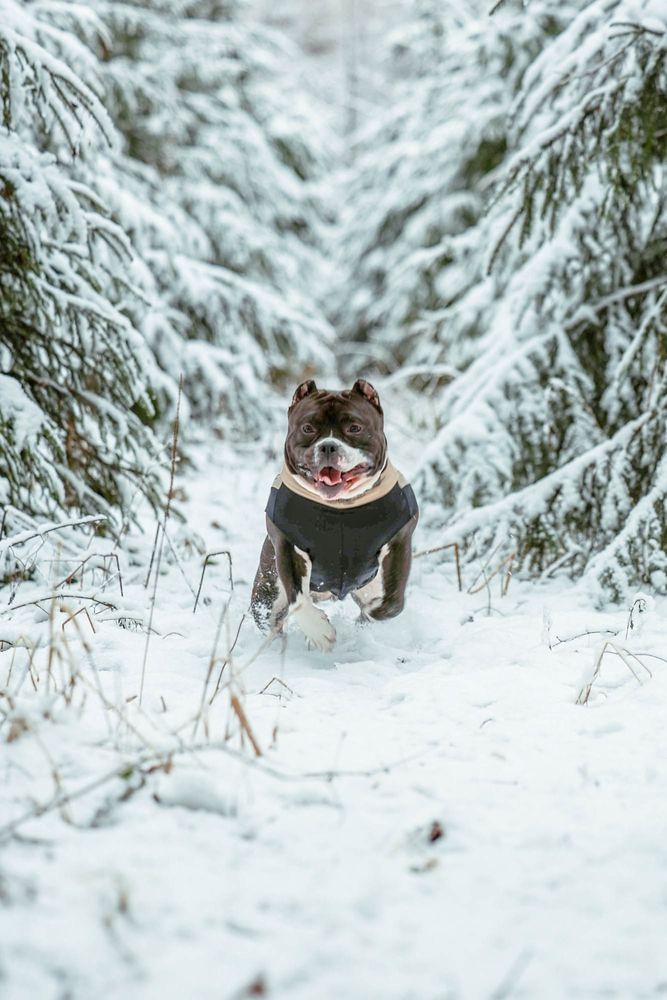 Photograph by Виктория