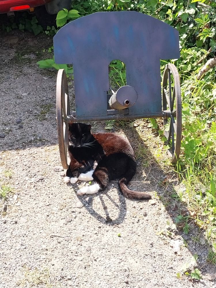 Photograph by Людмила Липаткина