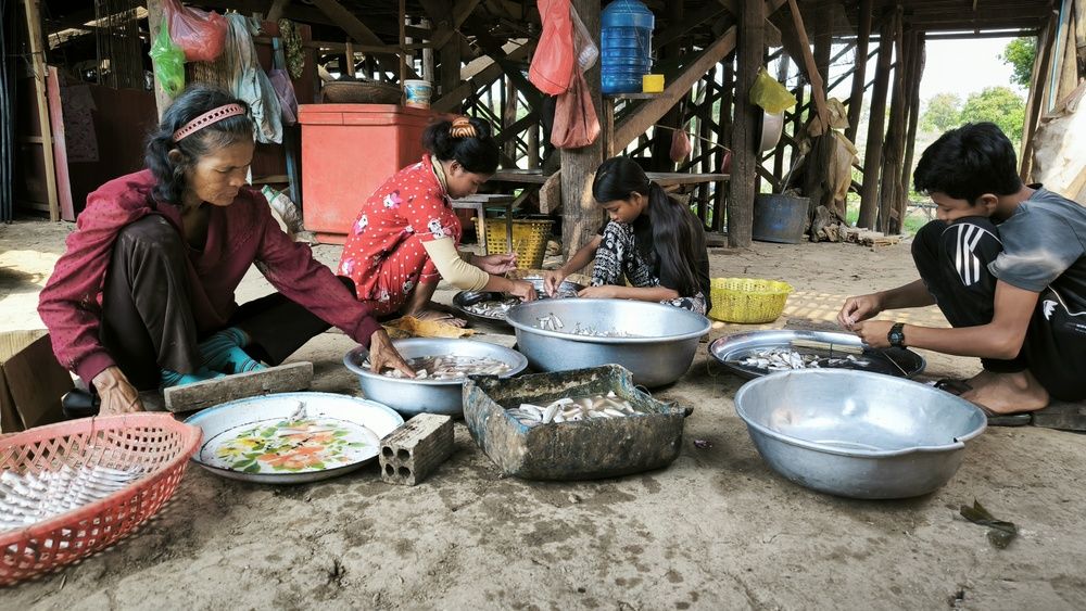 Photograph by ANDREY PERESHEIN