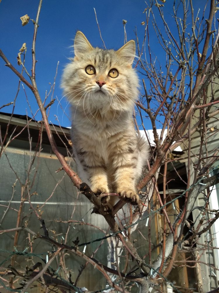 Photograph by Владимир Коровин